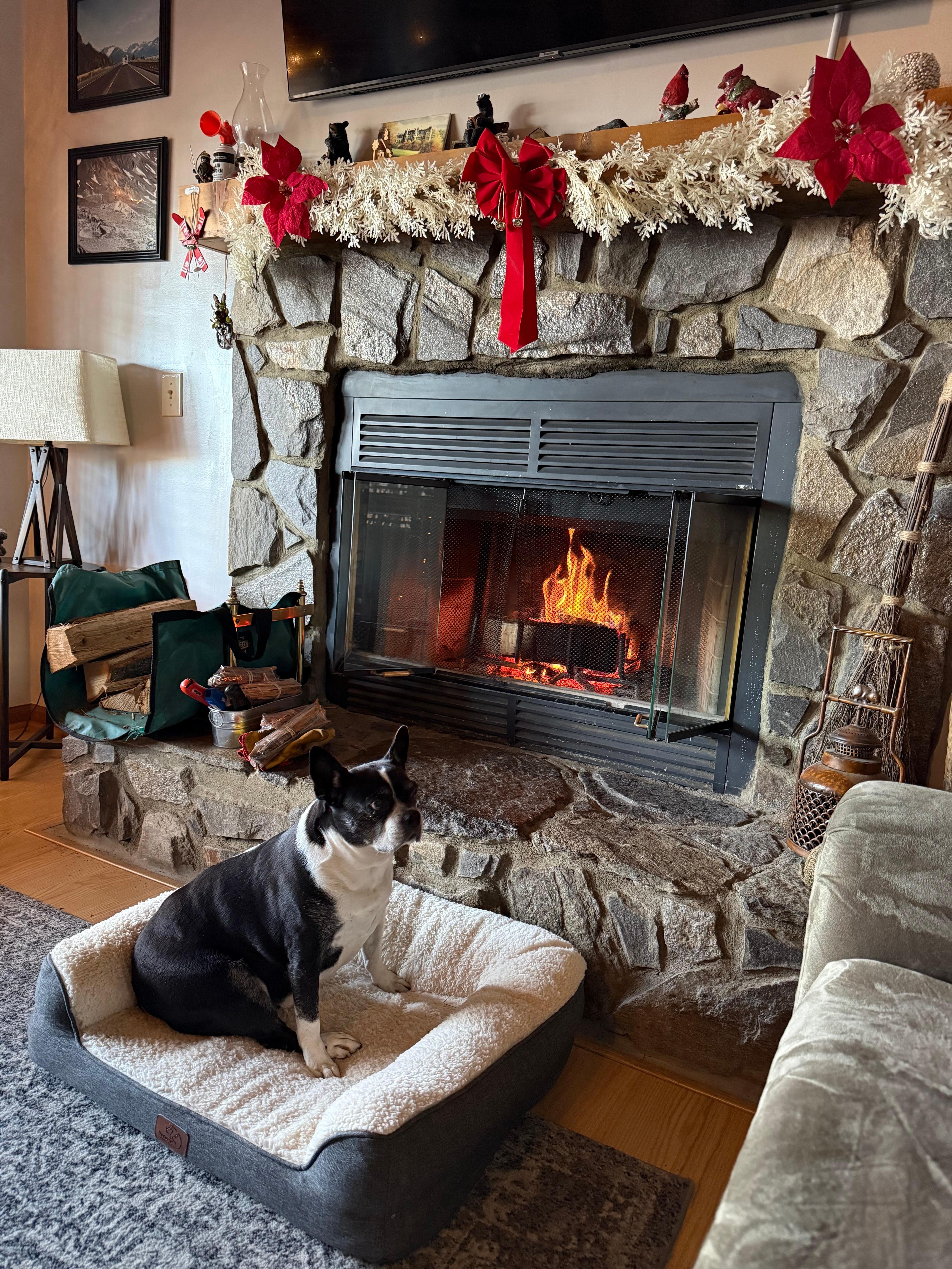 Our pup enjoyed the bed by the fireplace 