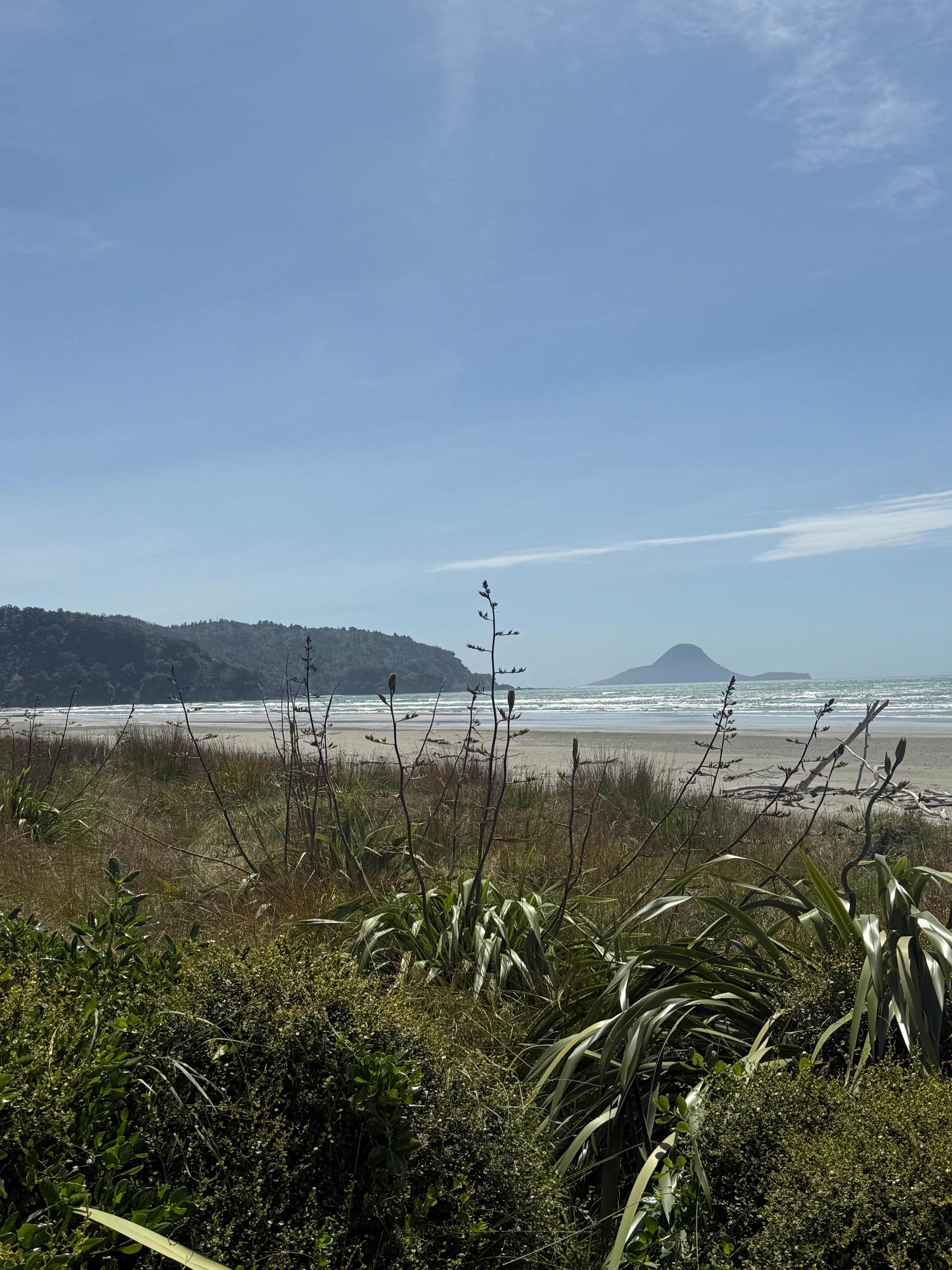 Wainui Beach