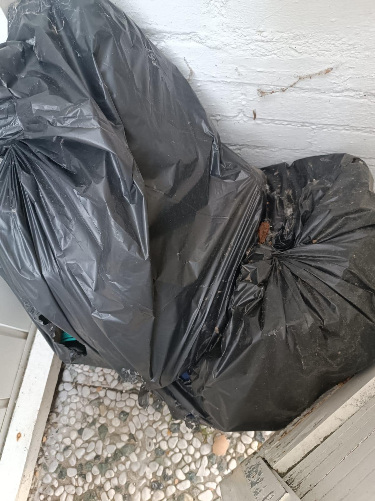 Müll noch vom Vormieter 