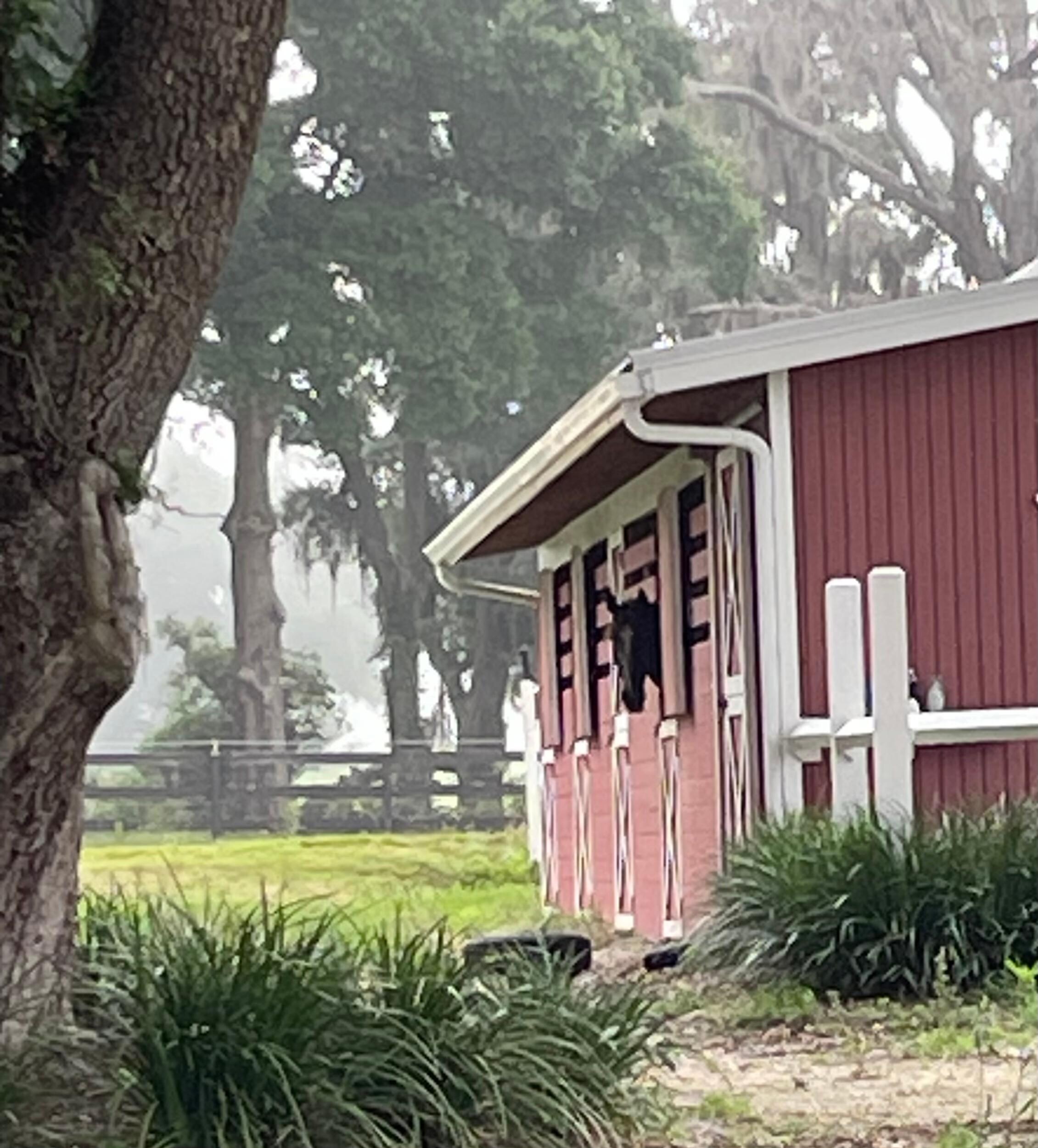 Stables 