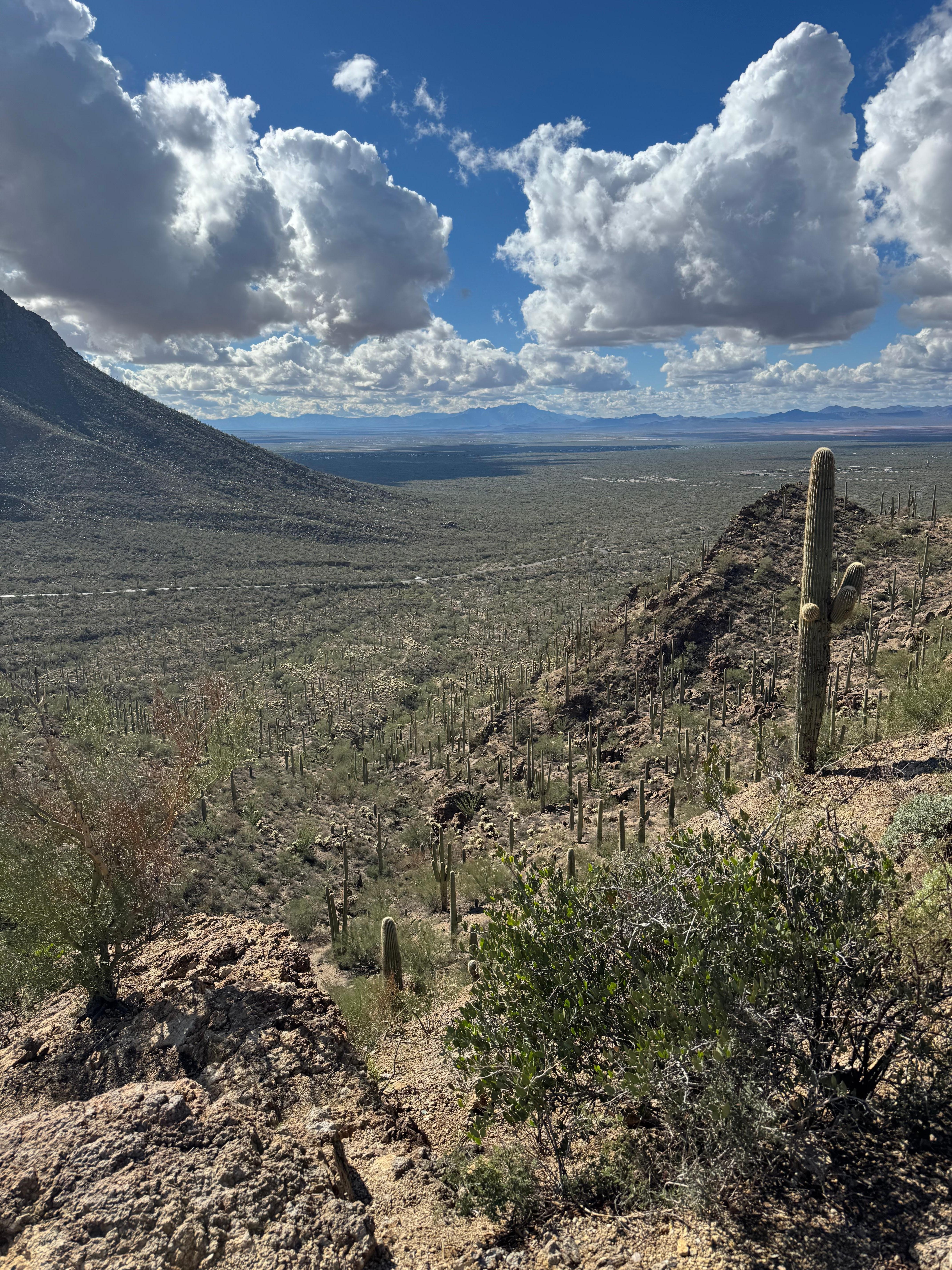 Gates pass great views 