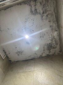 Mold on the ceiling
