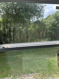 Dirty windows