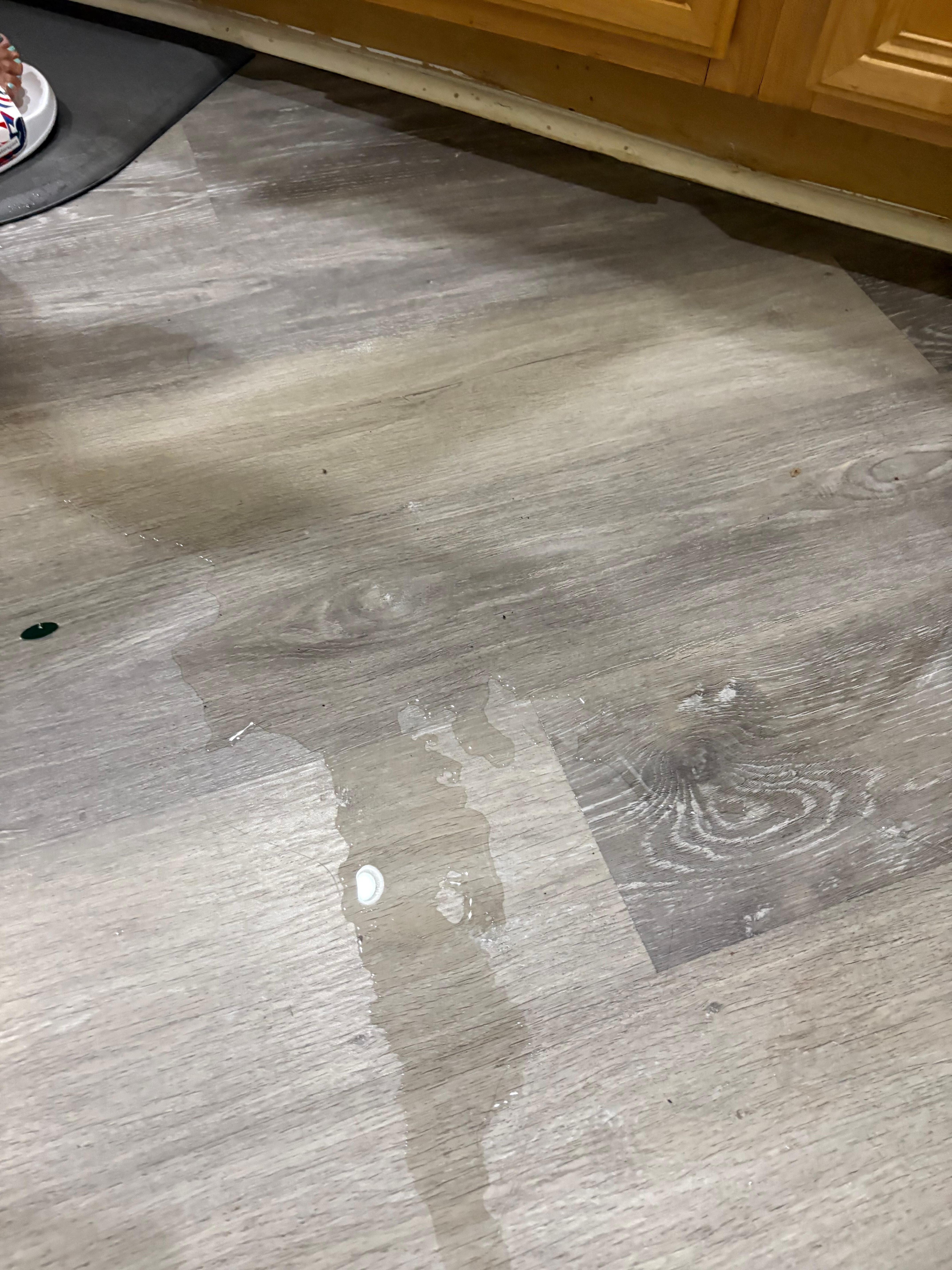Leak under the kitchen sink 