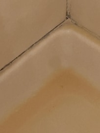 Mold in shower