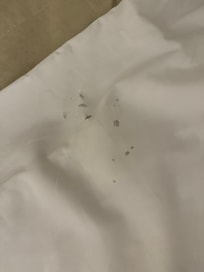 Holes in the bed sheet