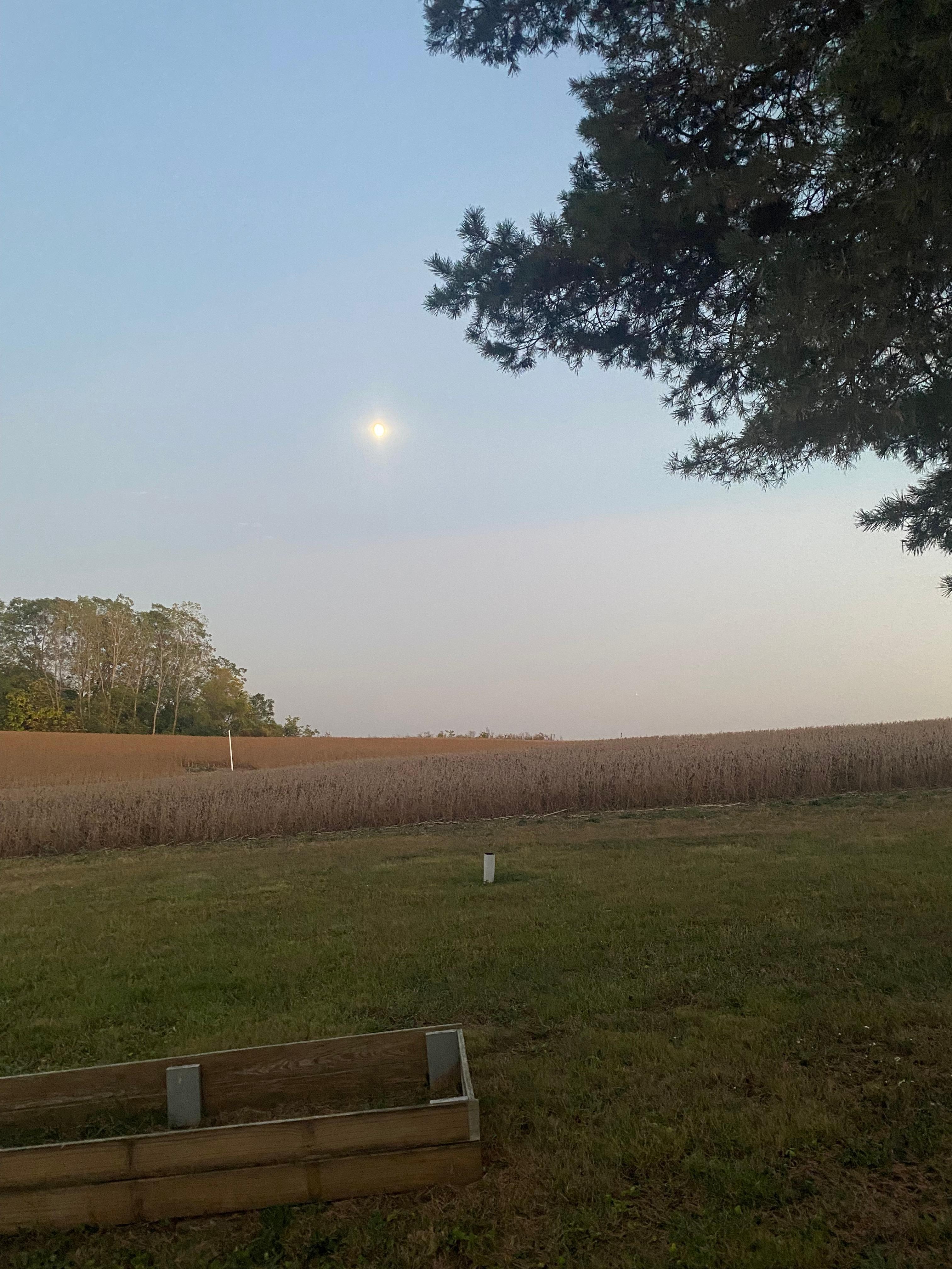 Evening other side of property. 