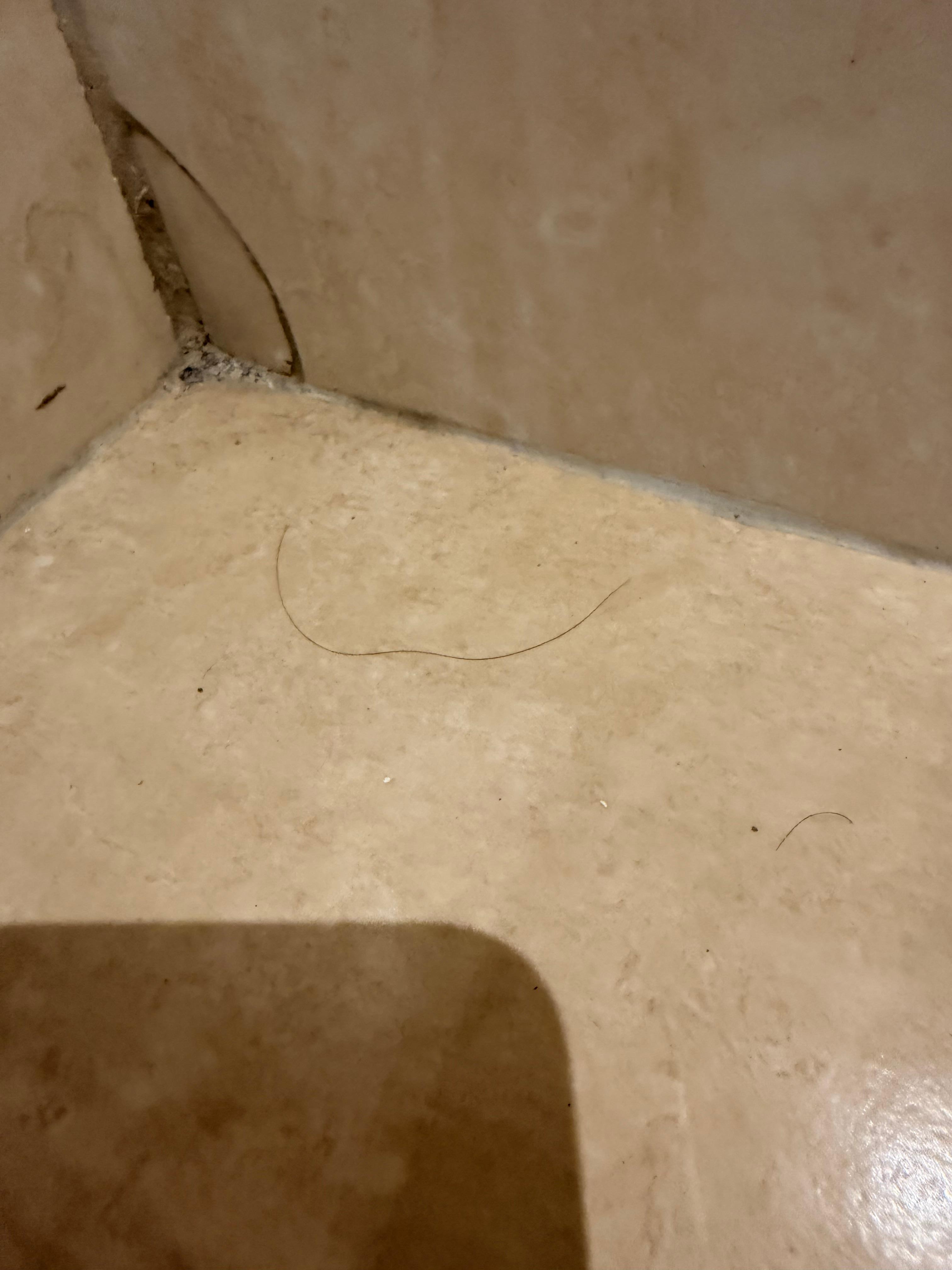 Mold and hair, broken tile