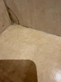 Mold and hair, broken tile
