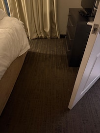 Water logged carpet