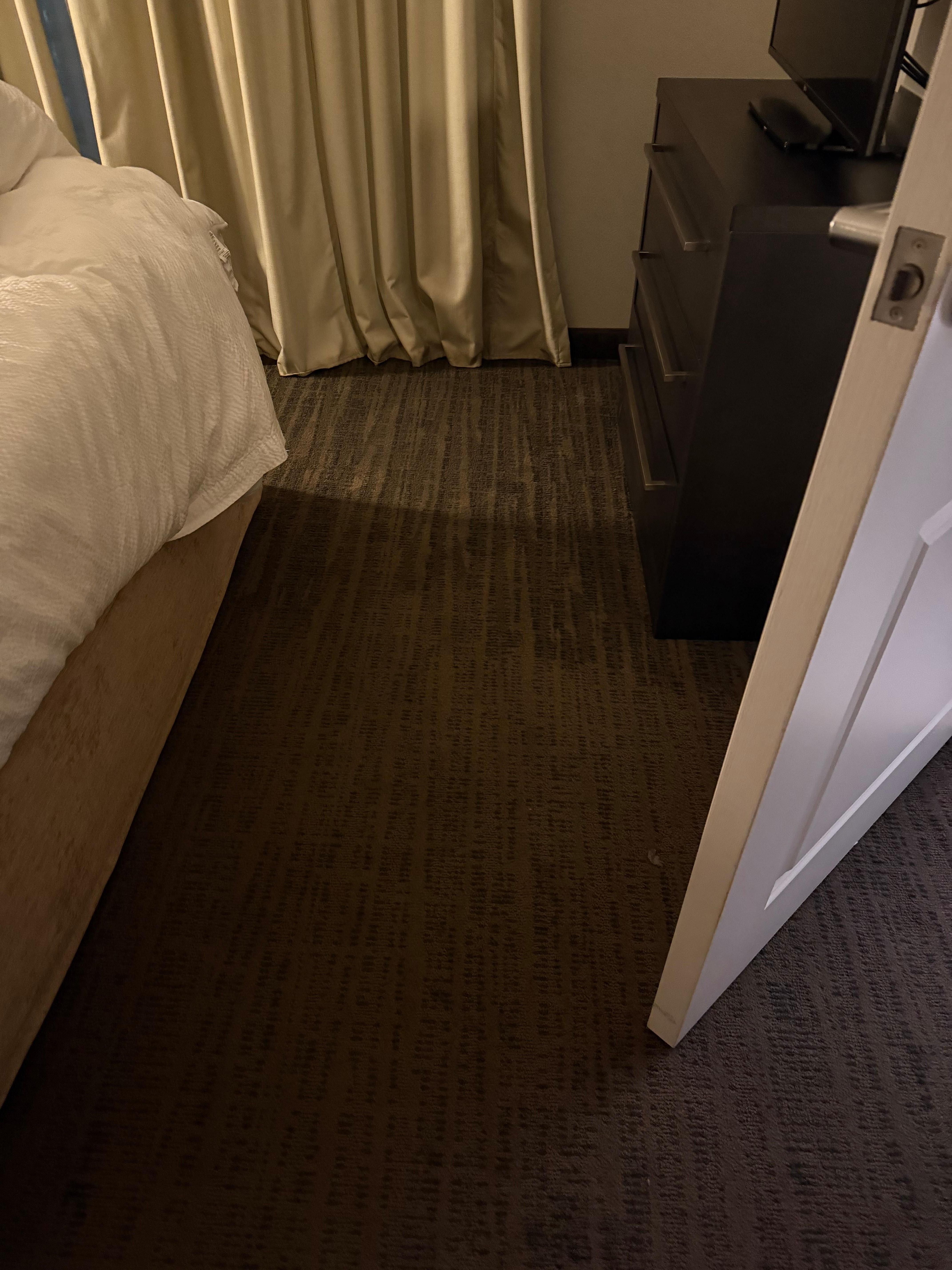 Water logged carpet 