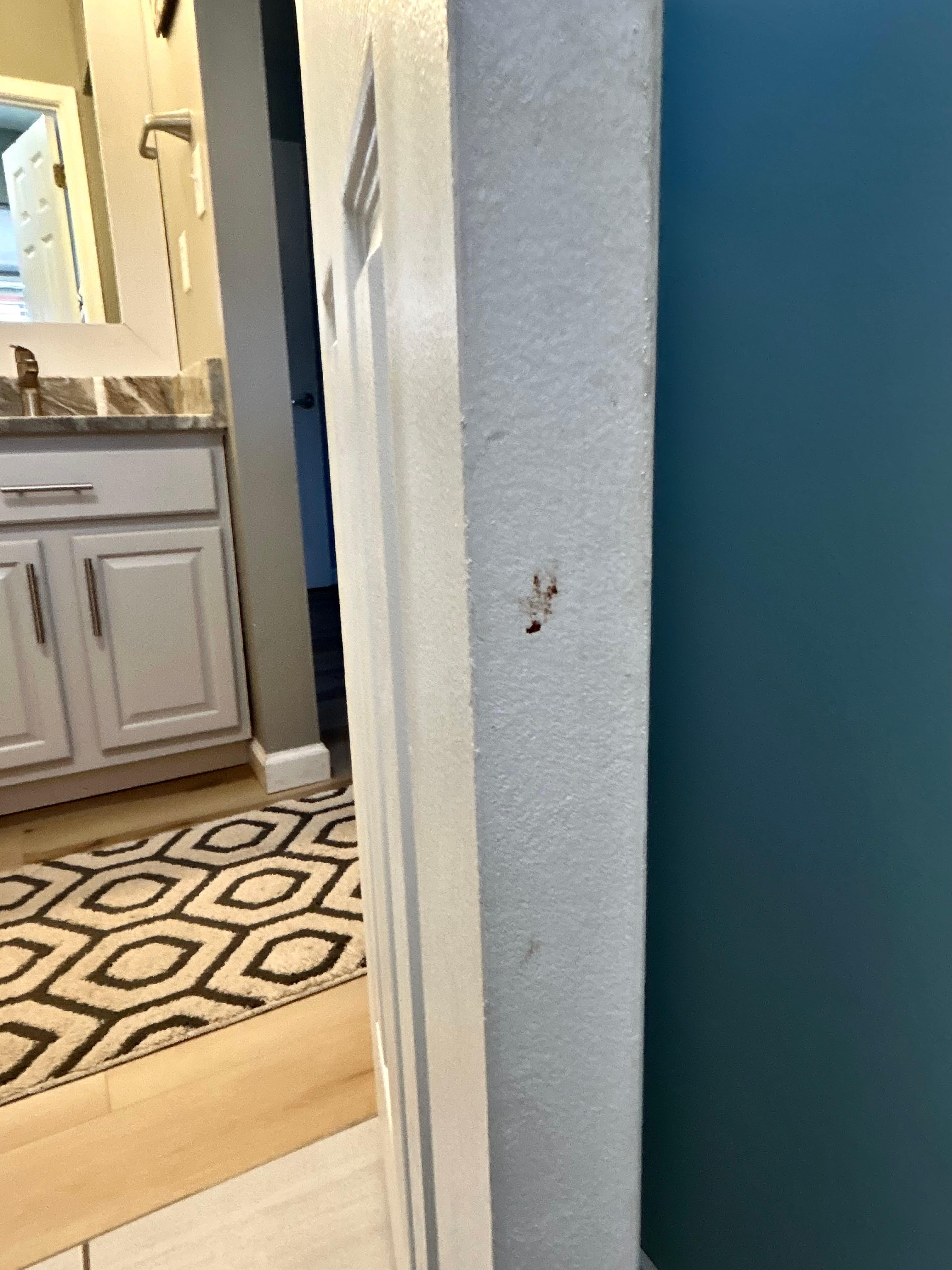 Feces on bathroom door. Biohazard! 