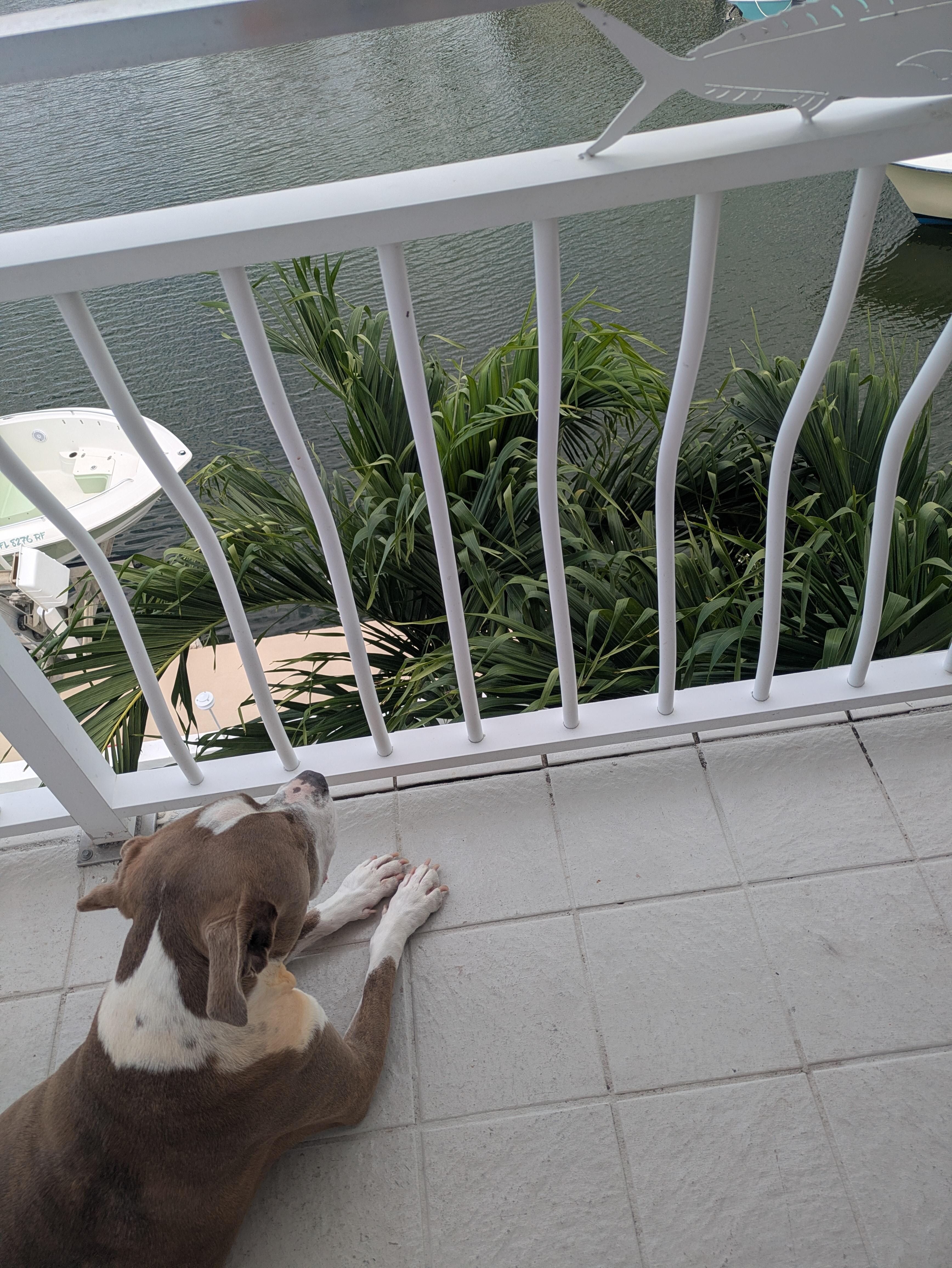 Great views enjoyed by all on a 360 balcony