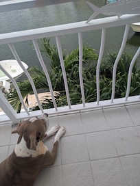 Great views enjoyed by all on a 360 balcony