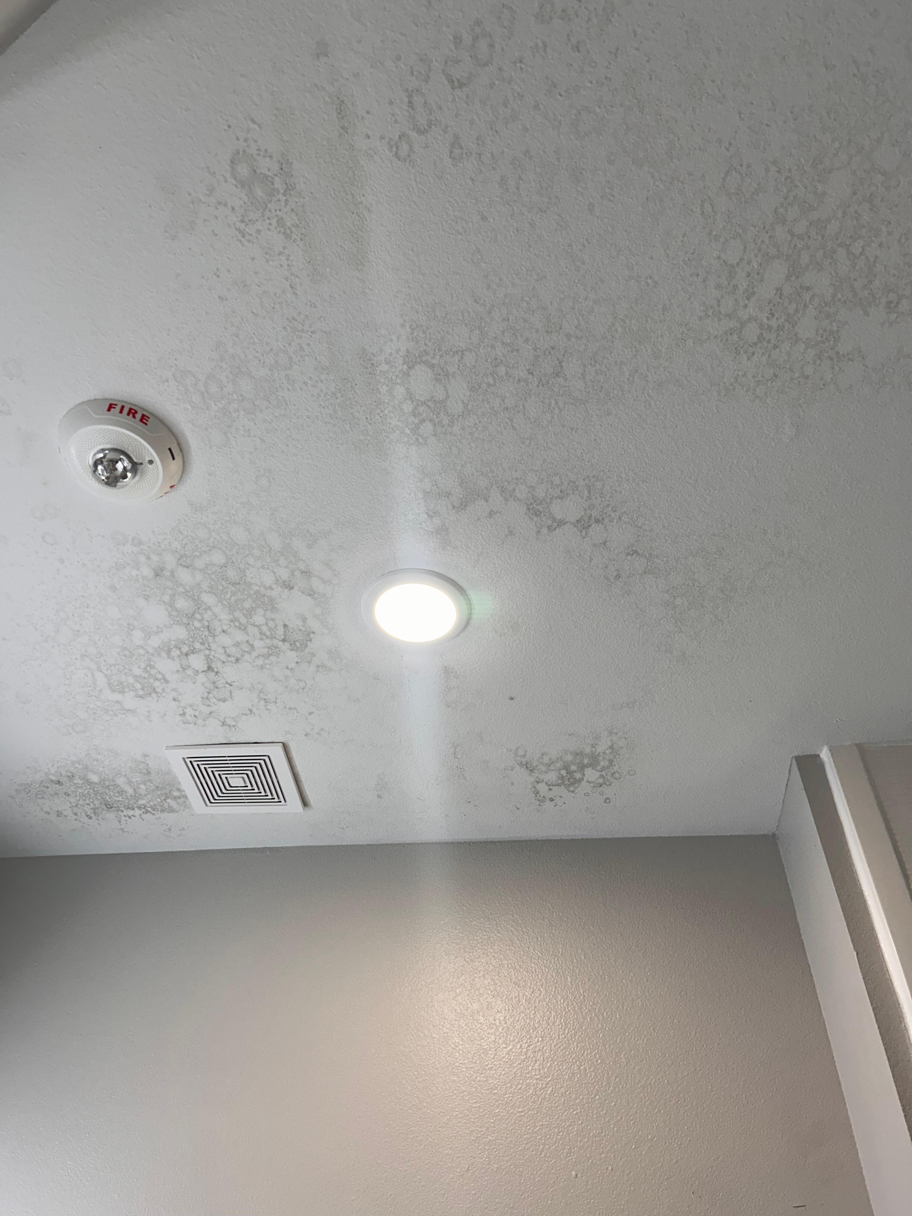 Bathroom ceiling with mold. 