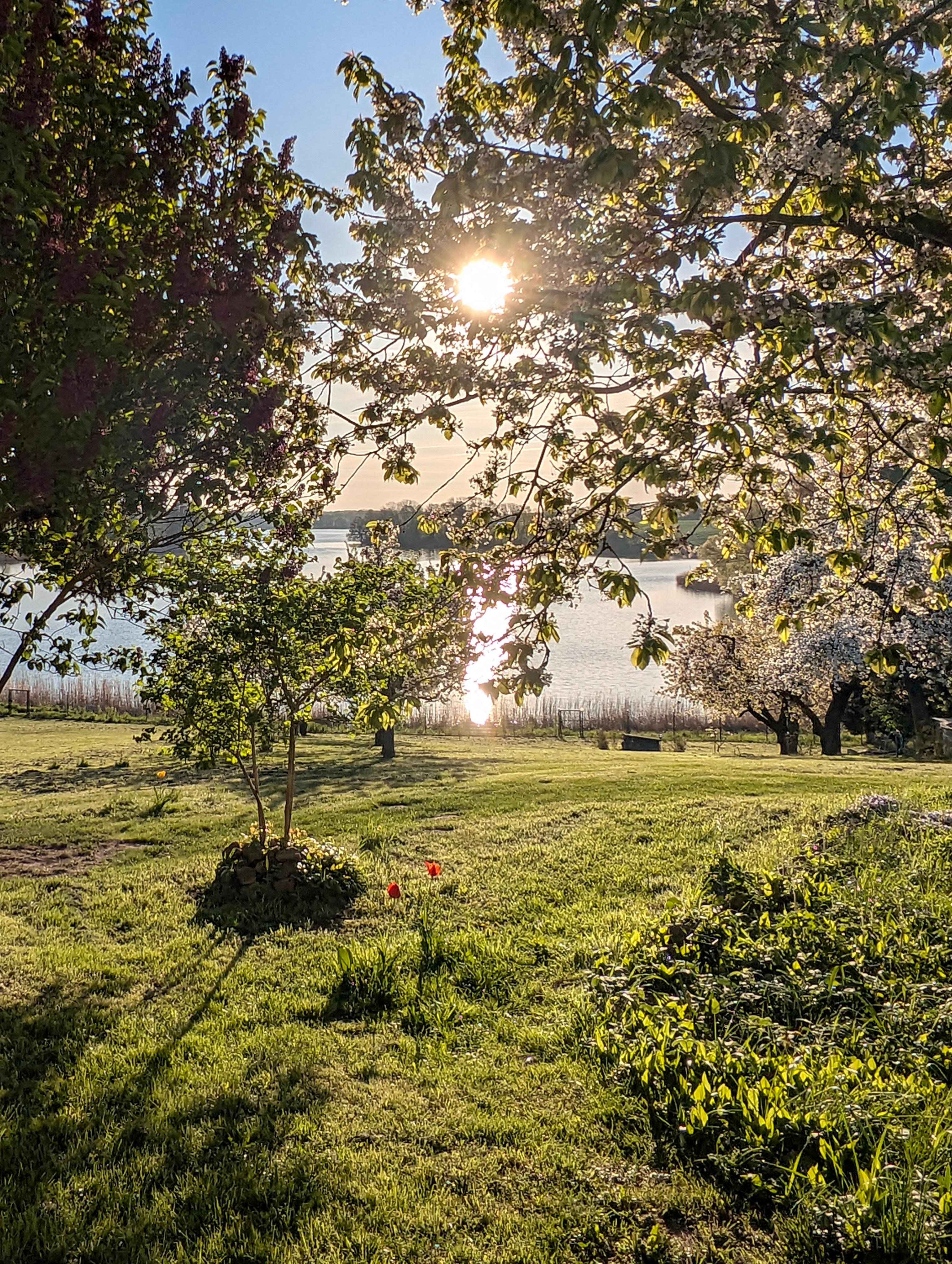 Blick auf den See am frühen Morgen.