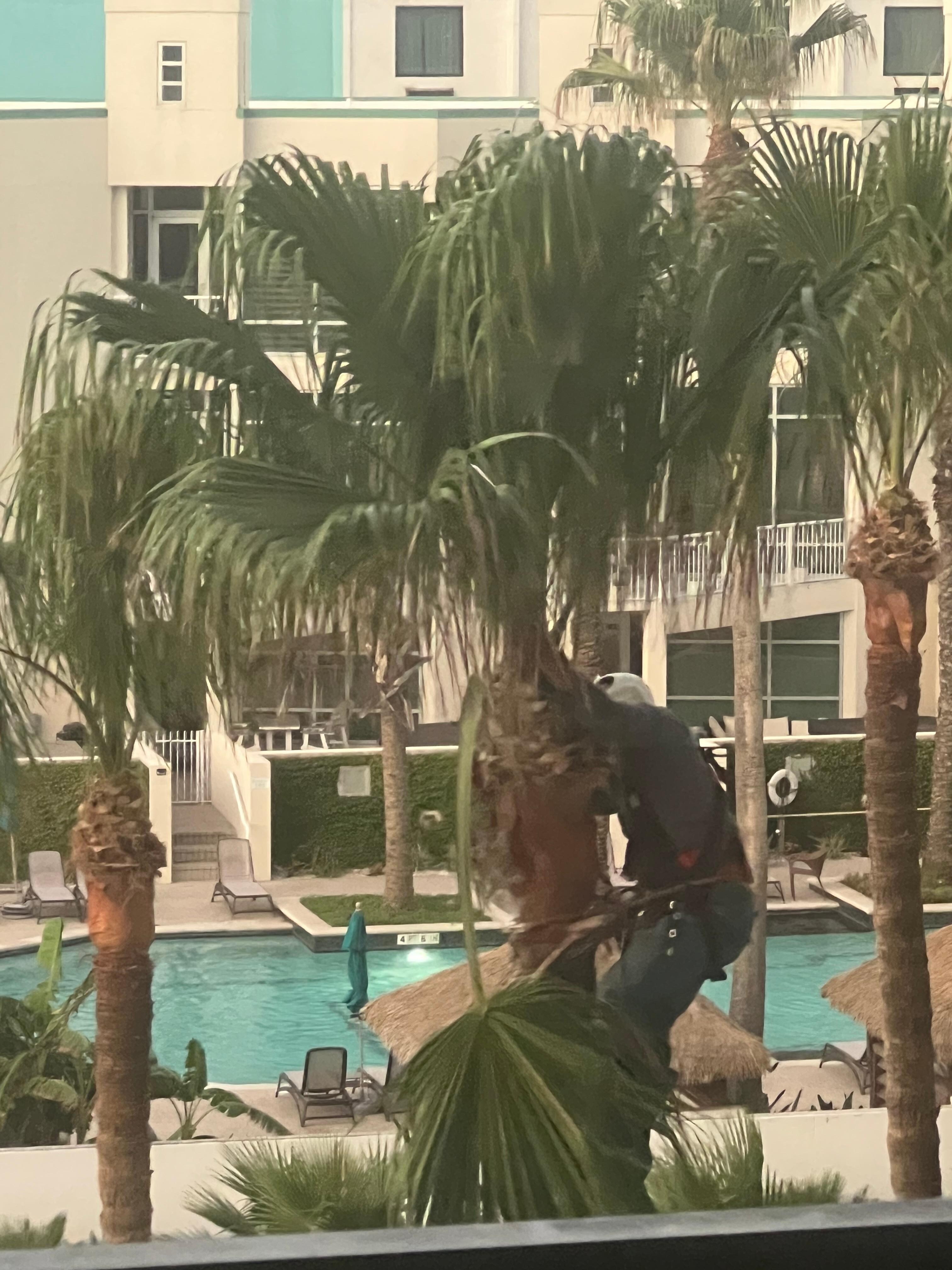 Guy with chainsaw at 6 am