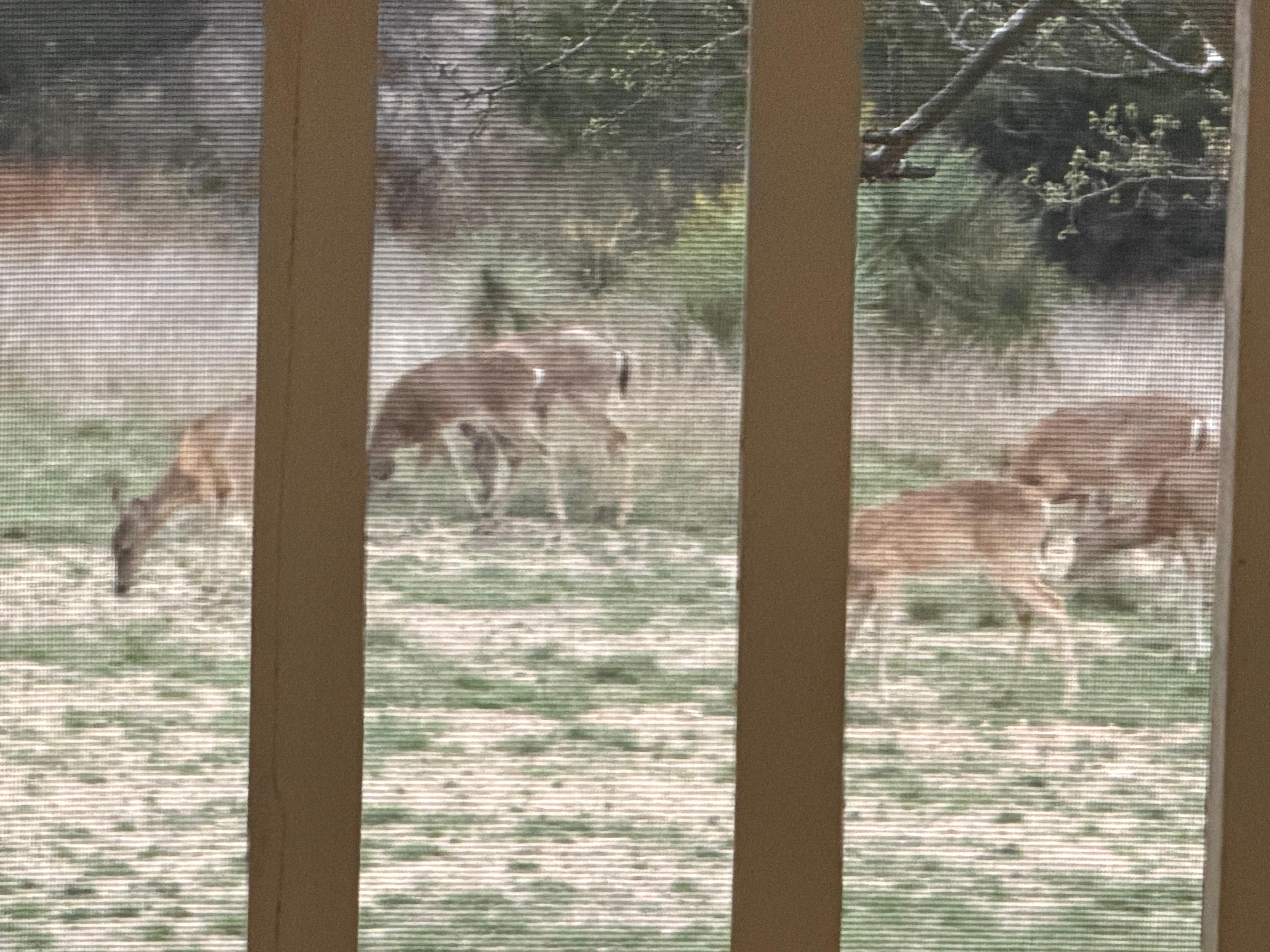 We had 15 in all at one time. Nice to see 