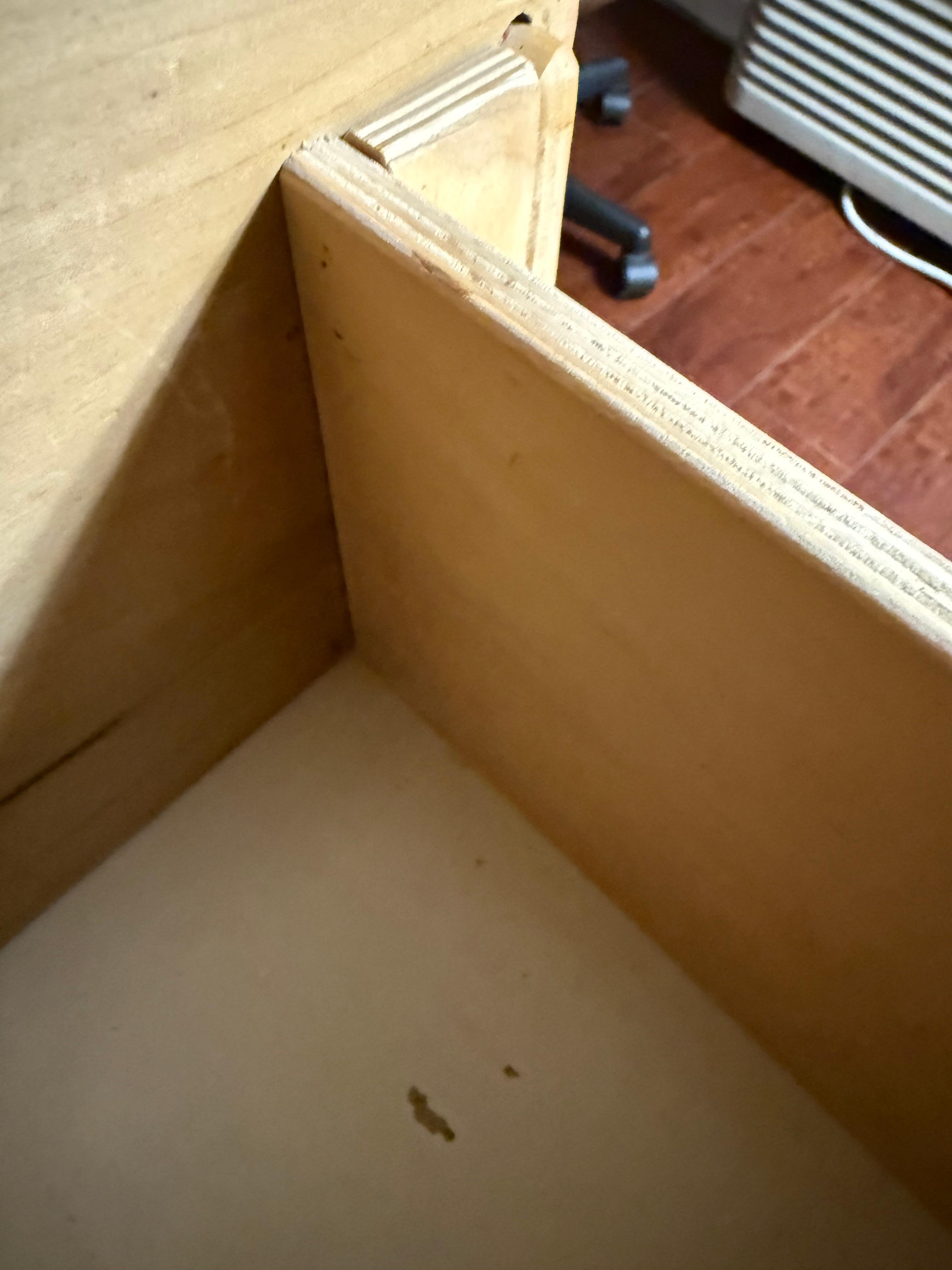 Before he scurried outta site with his buddies