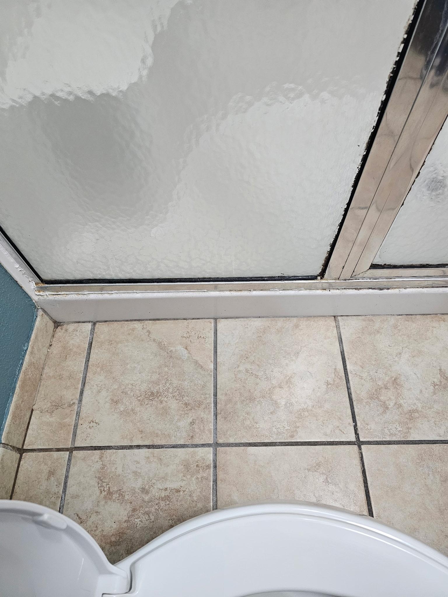 Mold around shower windows and stall