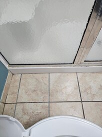 Mold around shower windows and stall