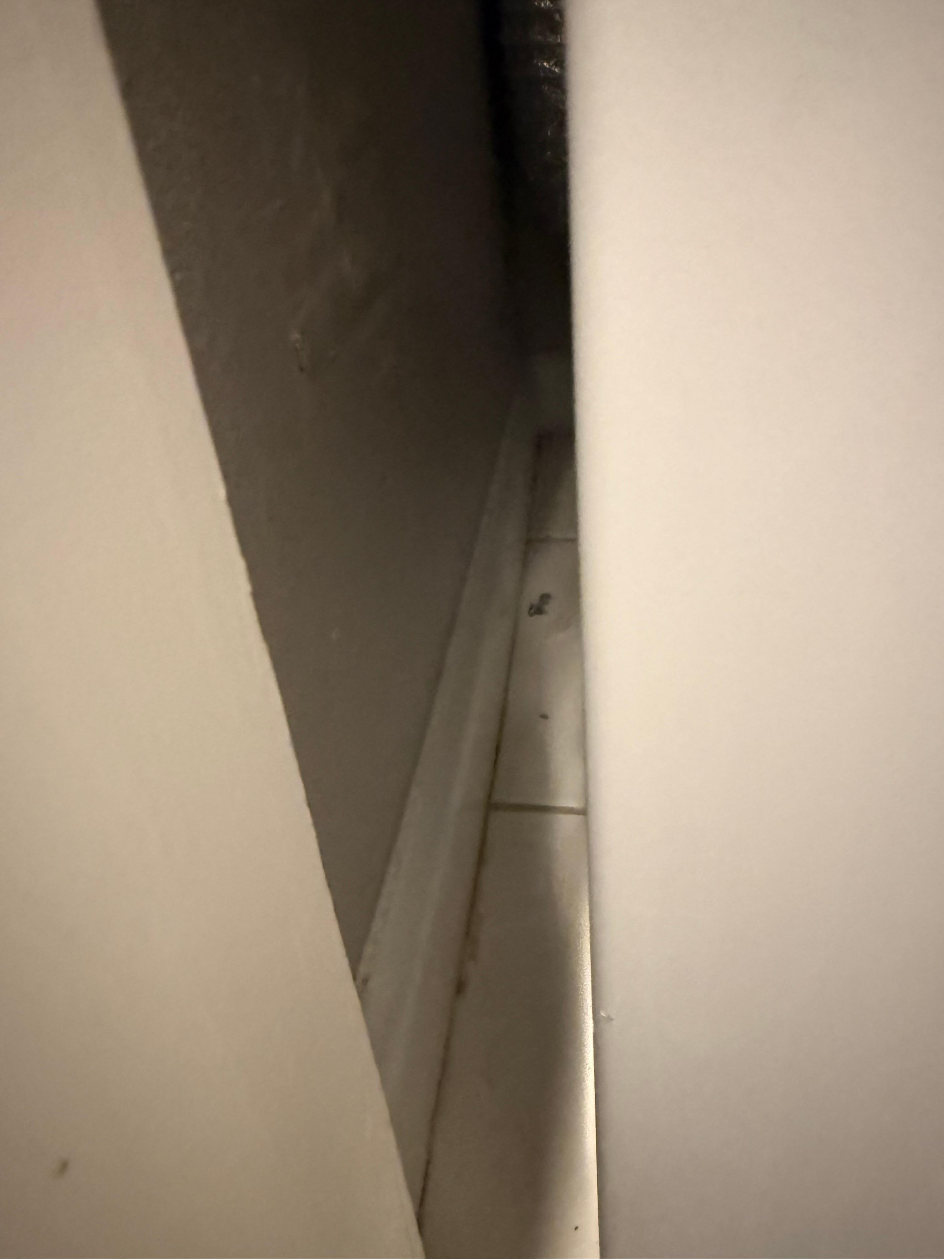 Dirty floor beside washer