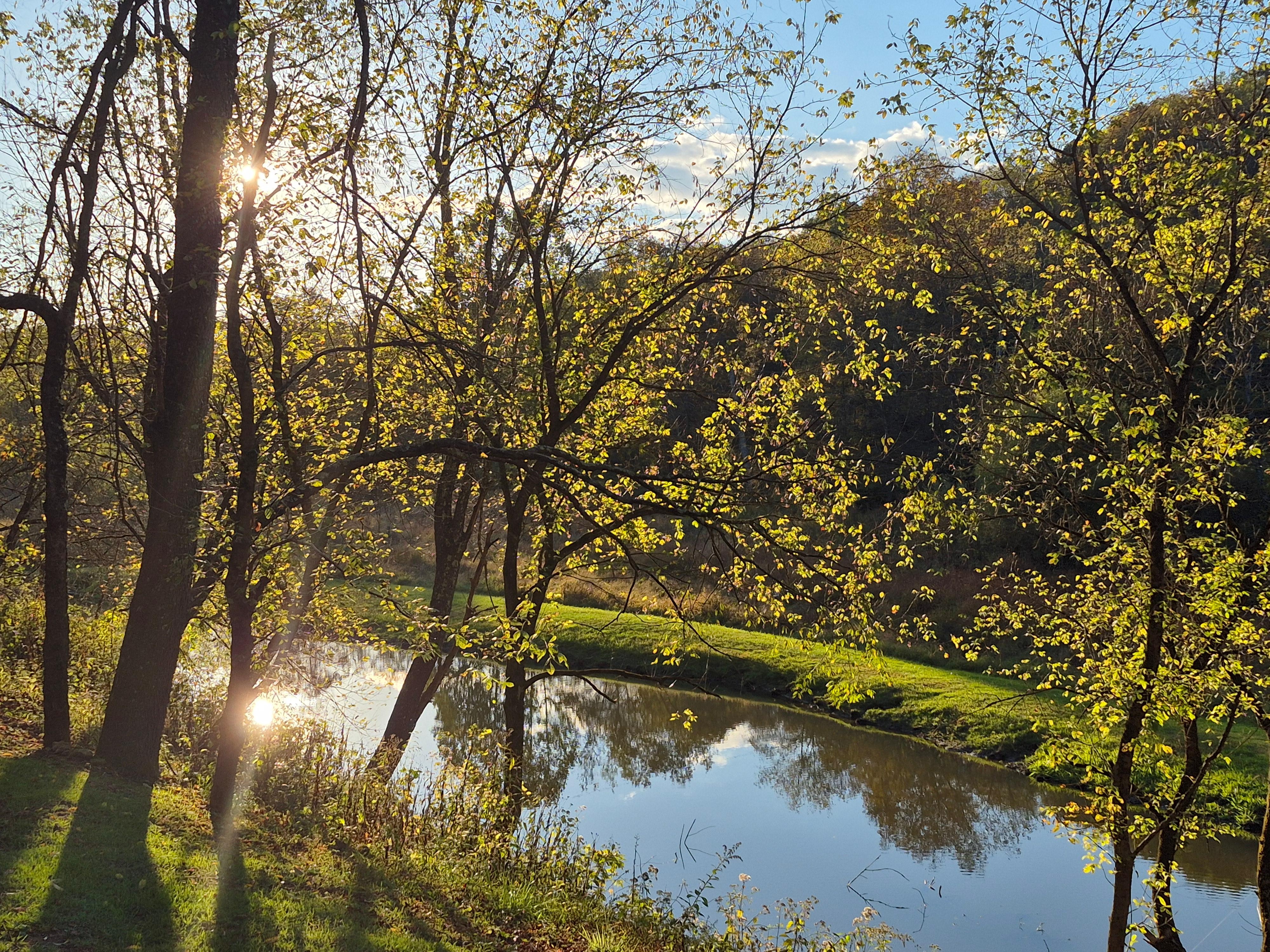View from the porch.