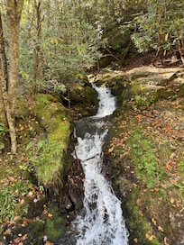 Trail at elkmont campground