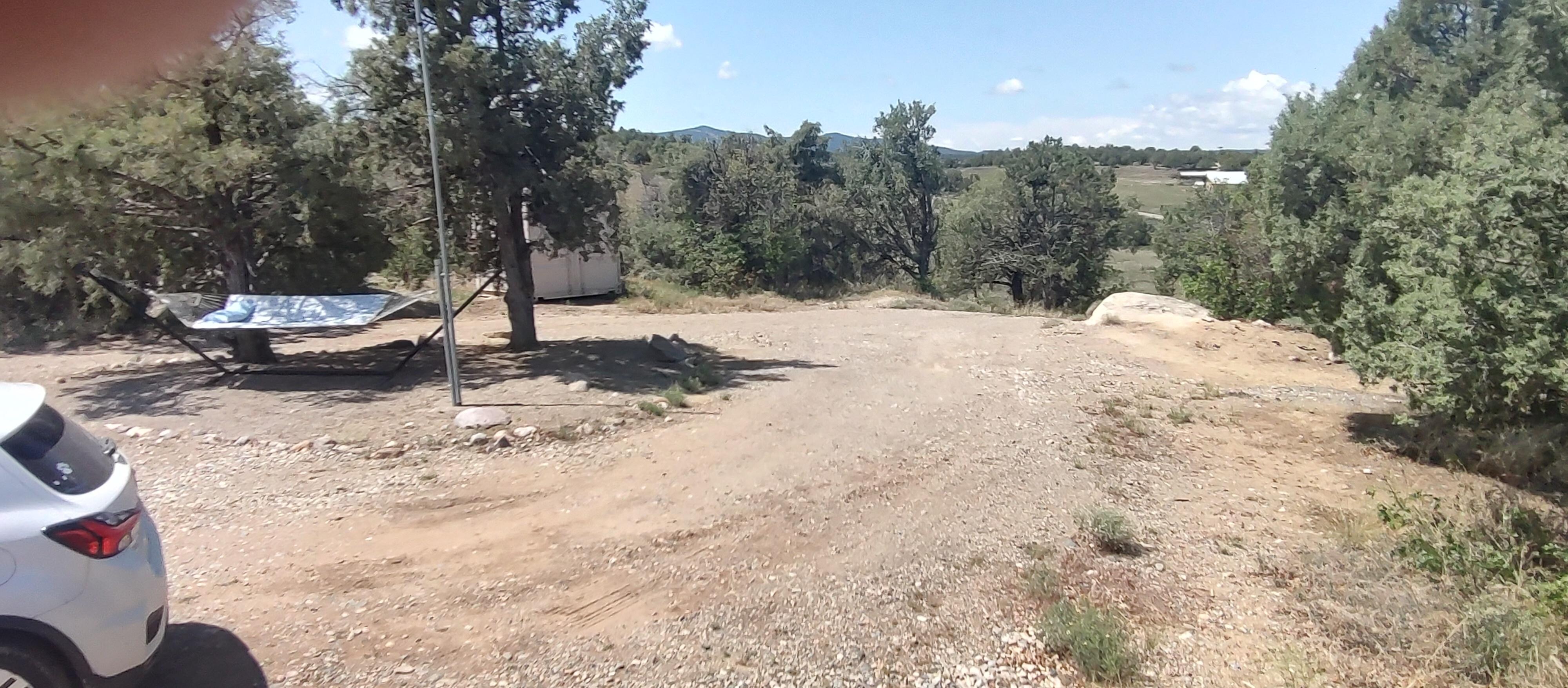 Driveway in front of the house and where the hammock is located 