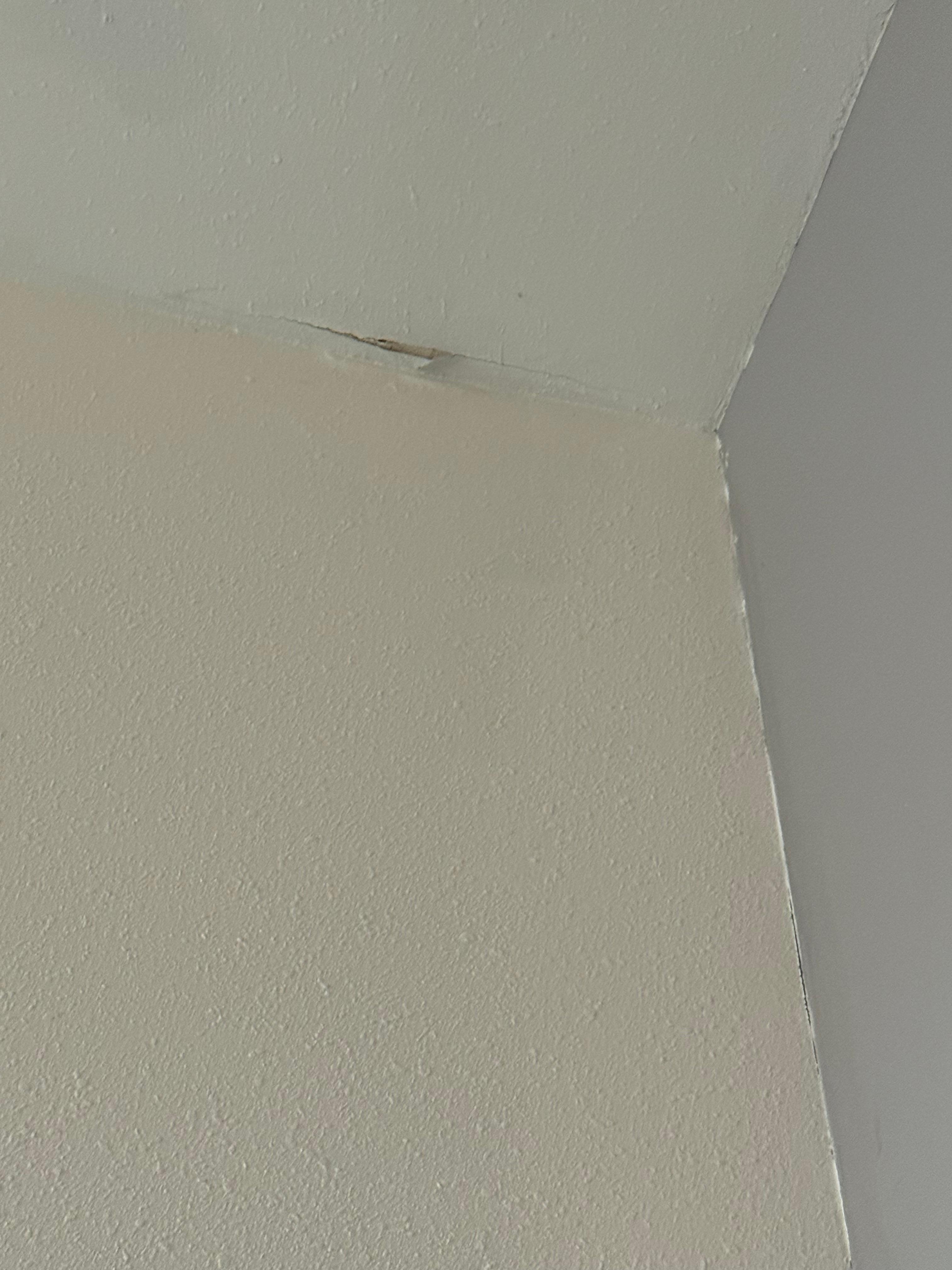 Ceiling repairs needed. Possible leak in ceiling. 