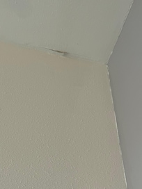 Ceiling repairs needed. Possible leak in ceiling.