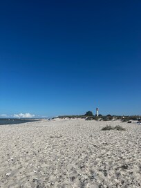 Hundestrand