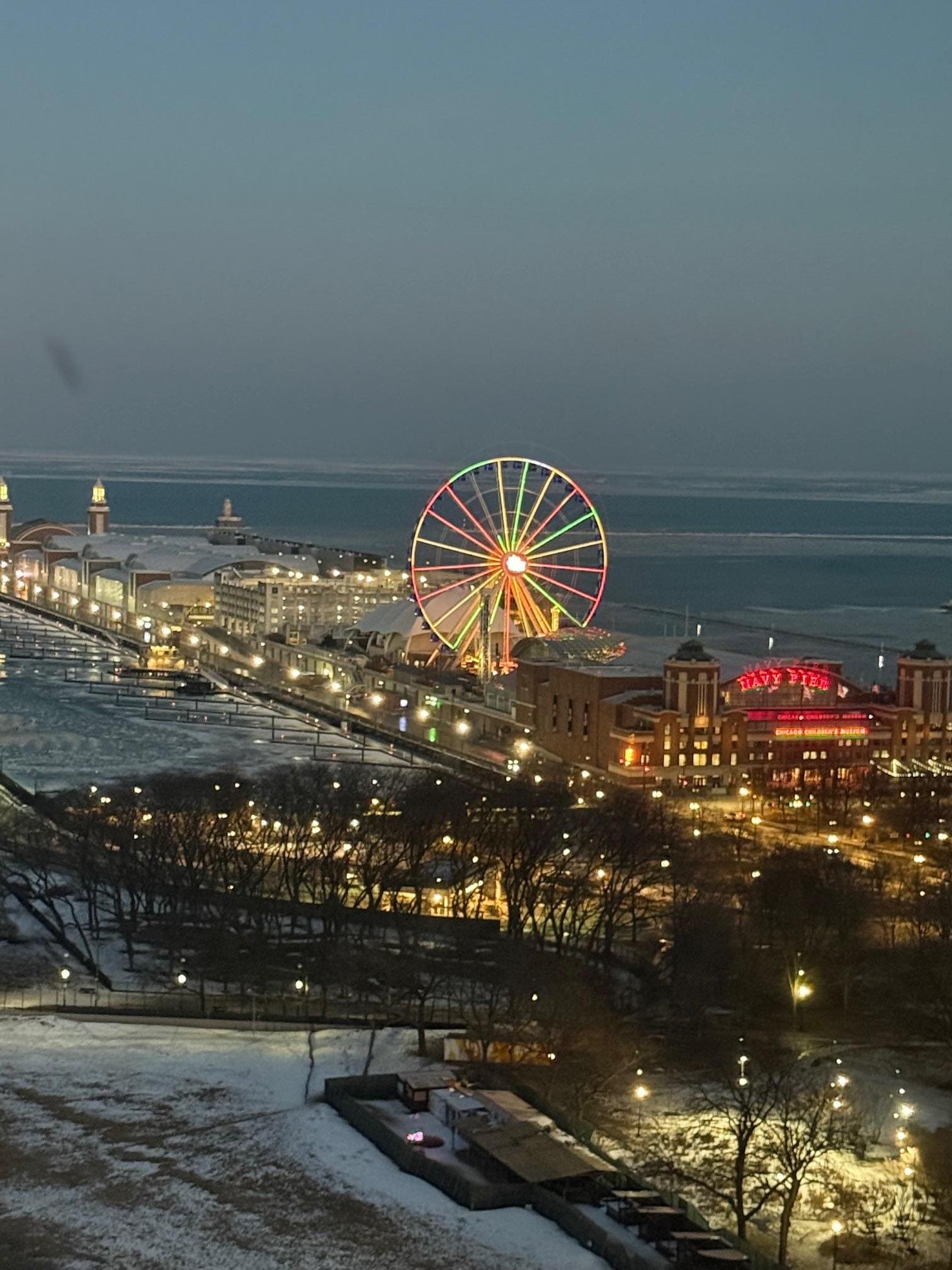 The Navy Pier view outside our window.