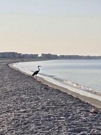 Picture I took while walking on thr beach our first morning there.