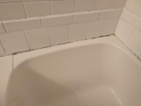 Mold in the bath