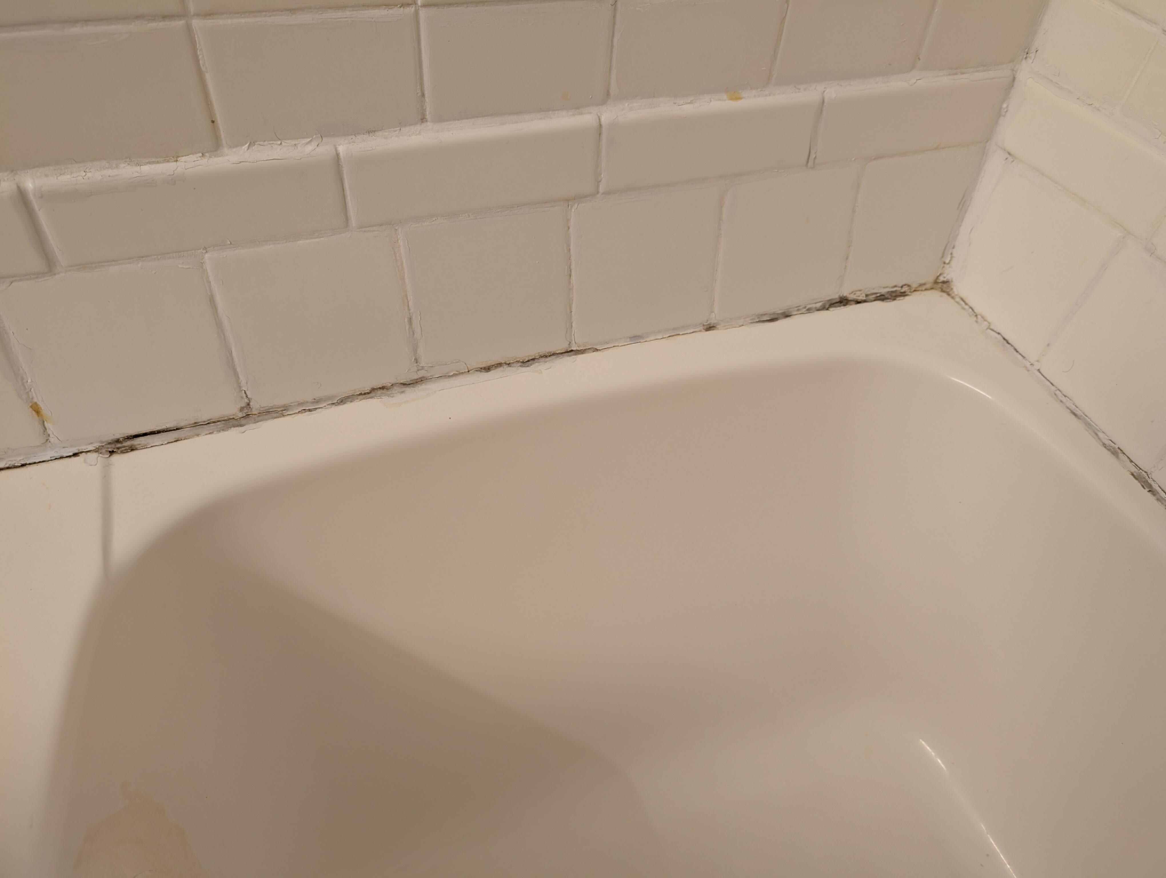 Mold in the bath