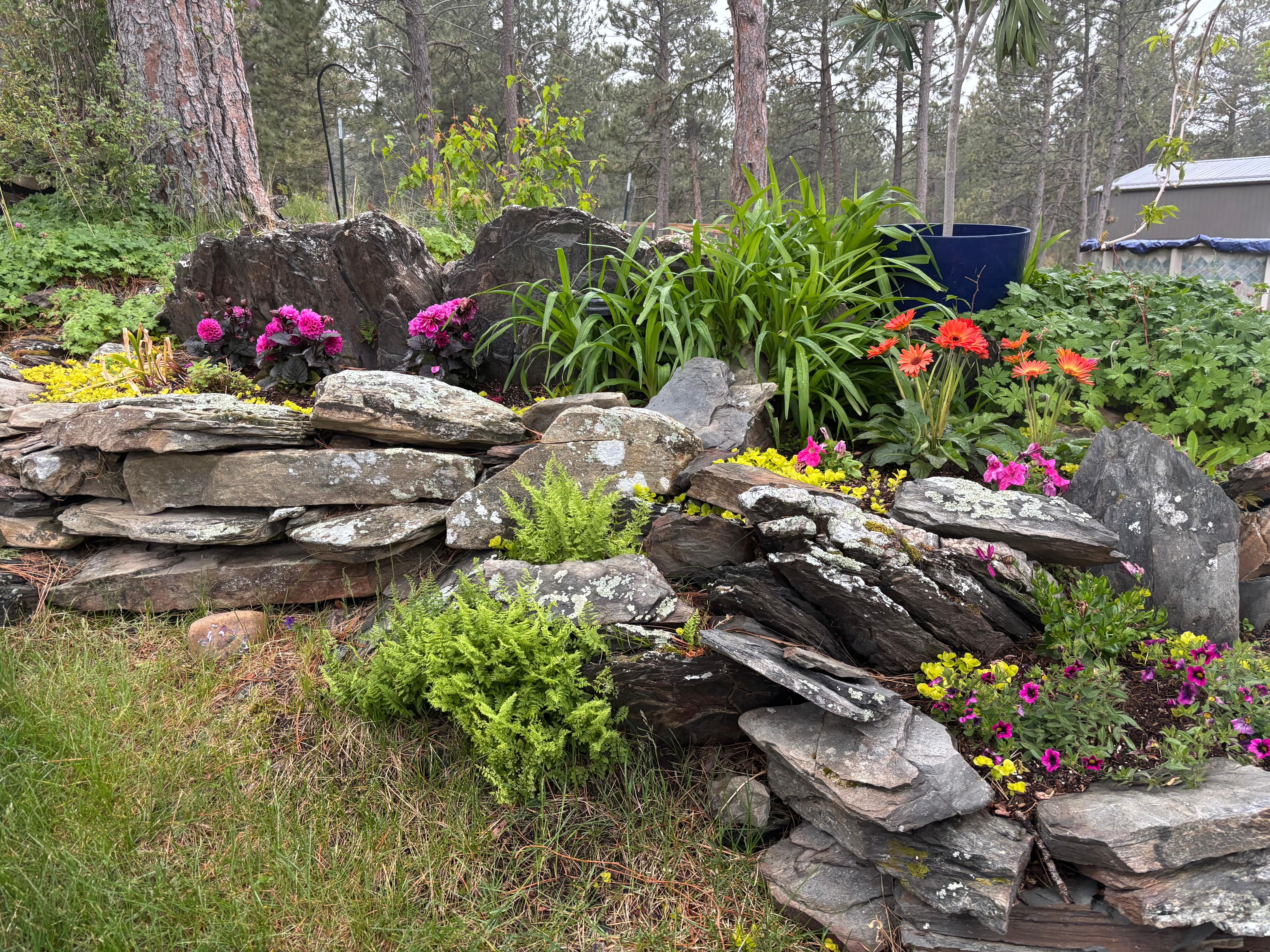 Variety of plants to admire