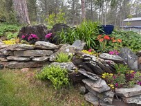 Variety of plants to admire