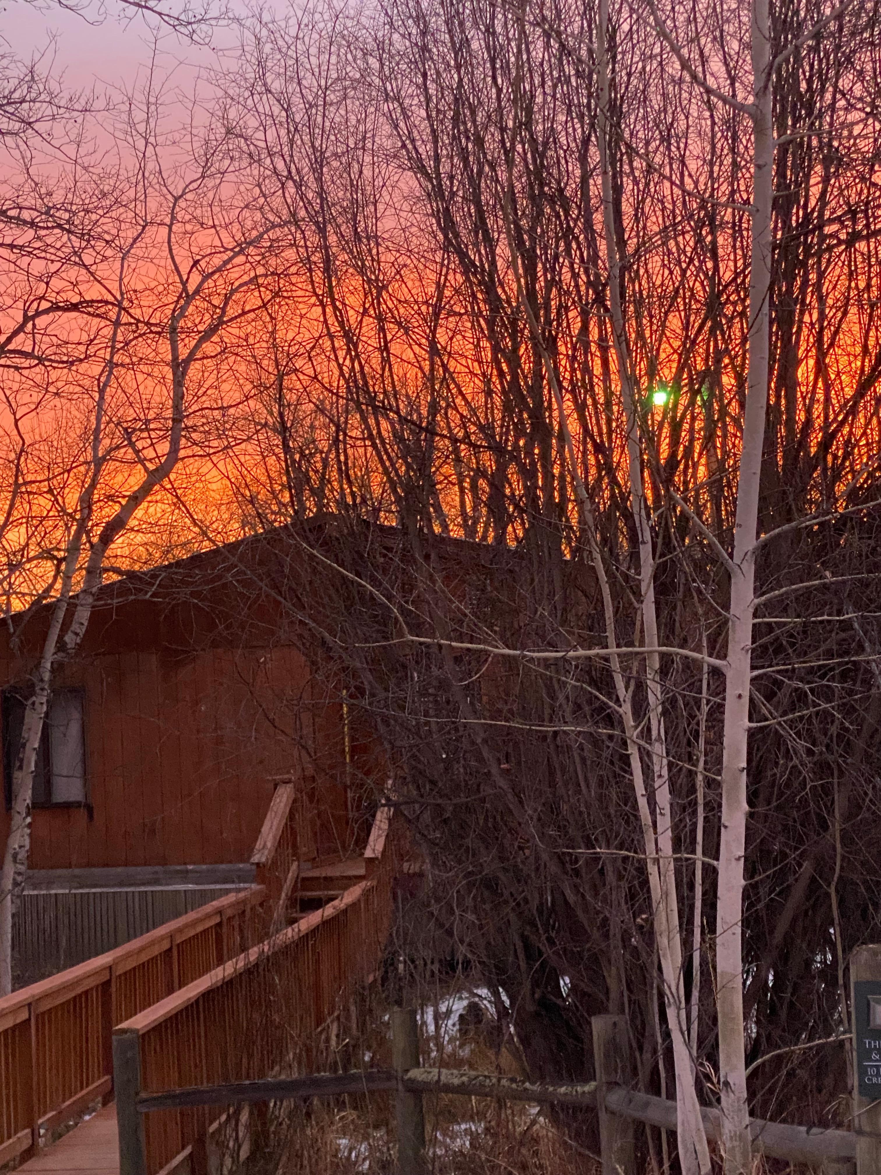 Winter sunrise over the cabin. 