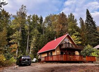 Forest Sounds put you asleep!