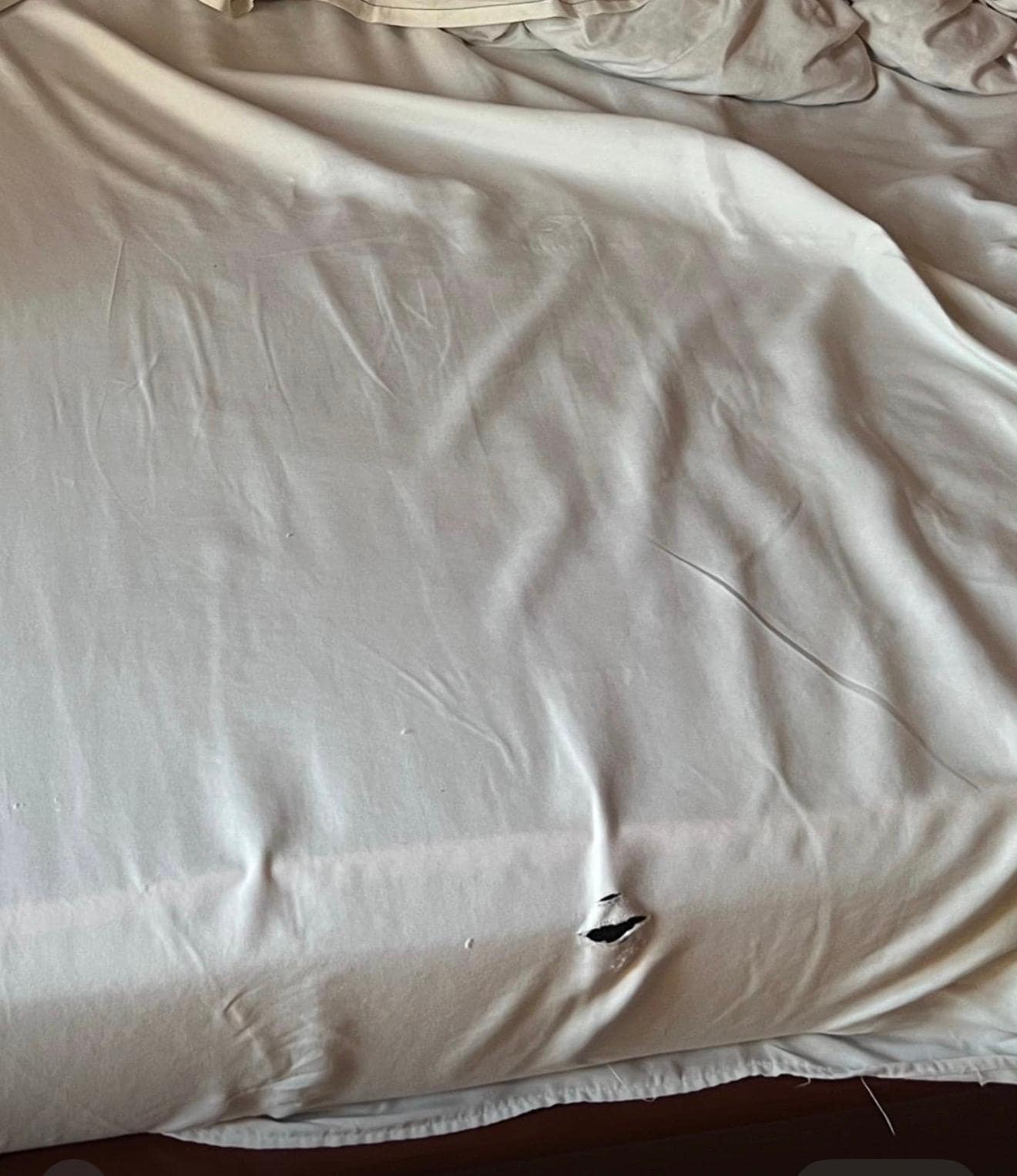 Stained and torn bedsheets