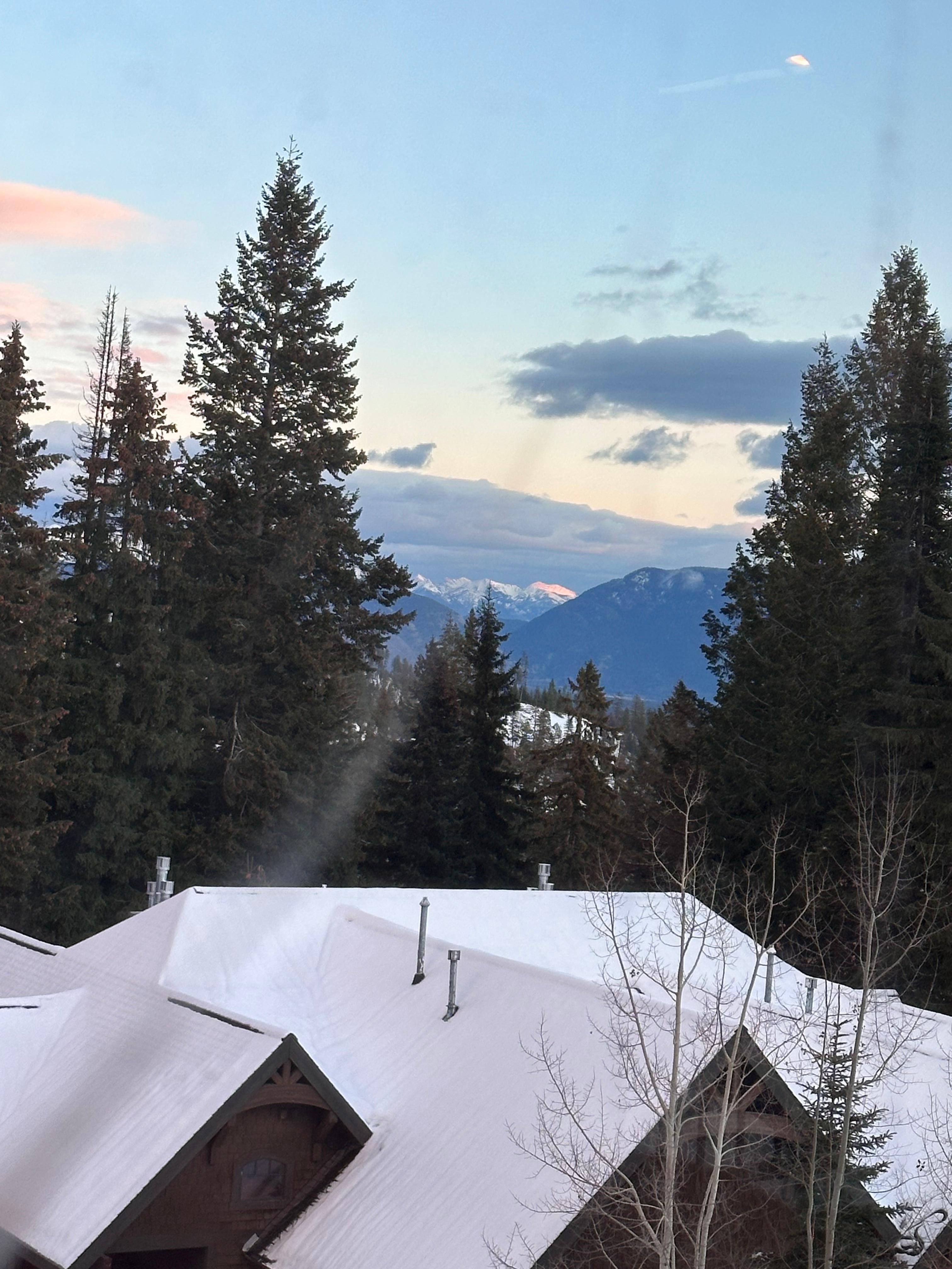 View from living room