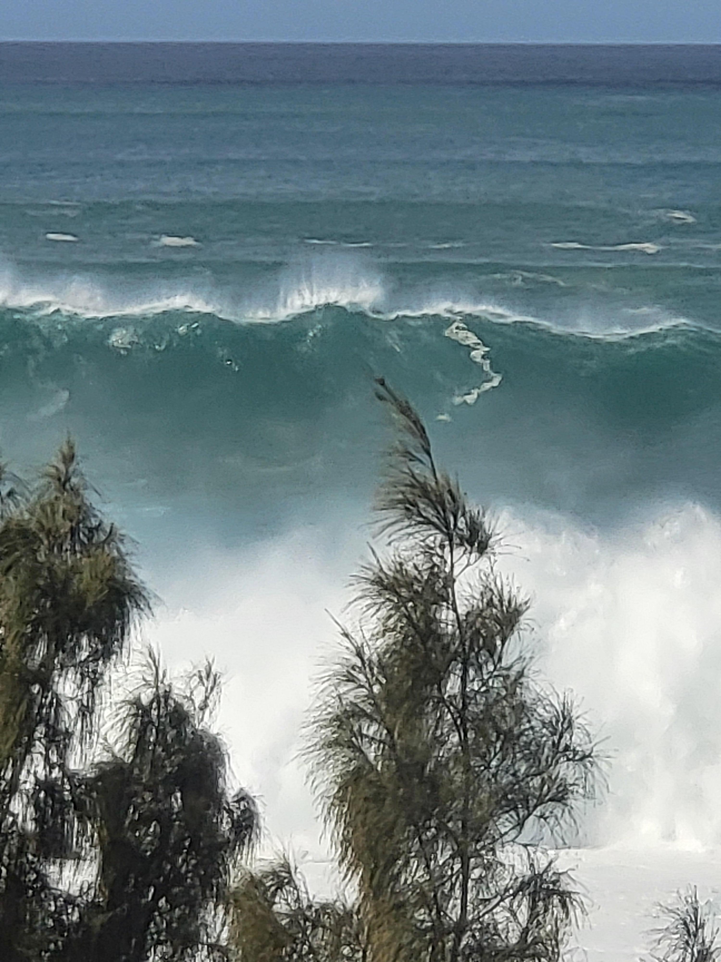 Wiamea Bay surfing right down the street