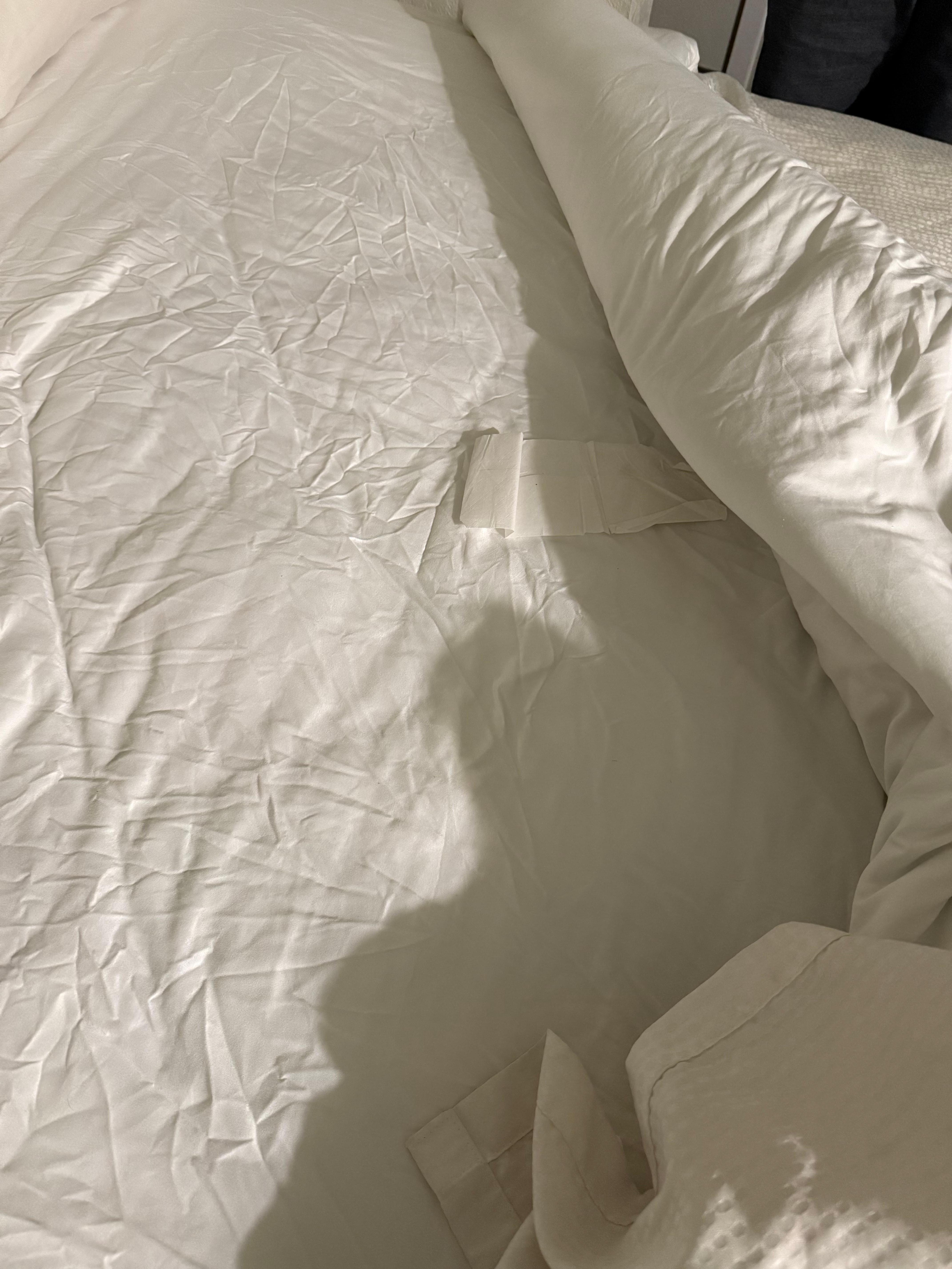 Dirty sheets & used napkins