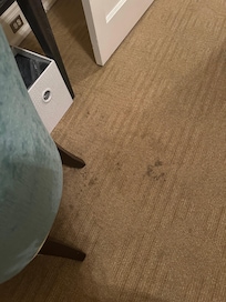 Carpets were stained everywhere