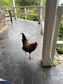 Derek was the very friendly welcoming partner