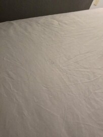 Bedding not changed from last person still hair on bed.