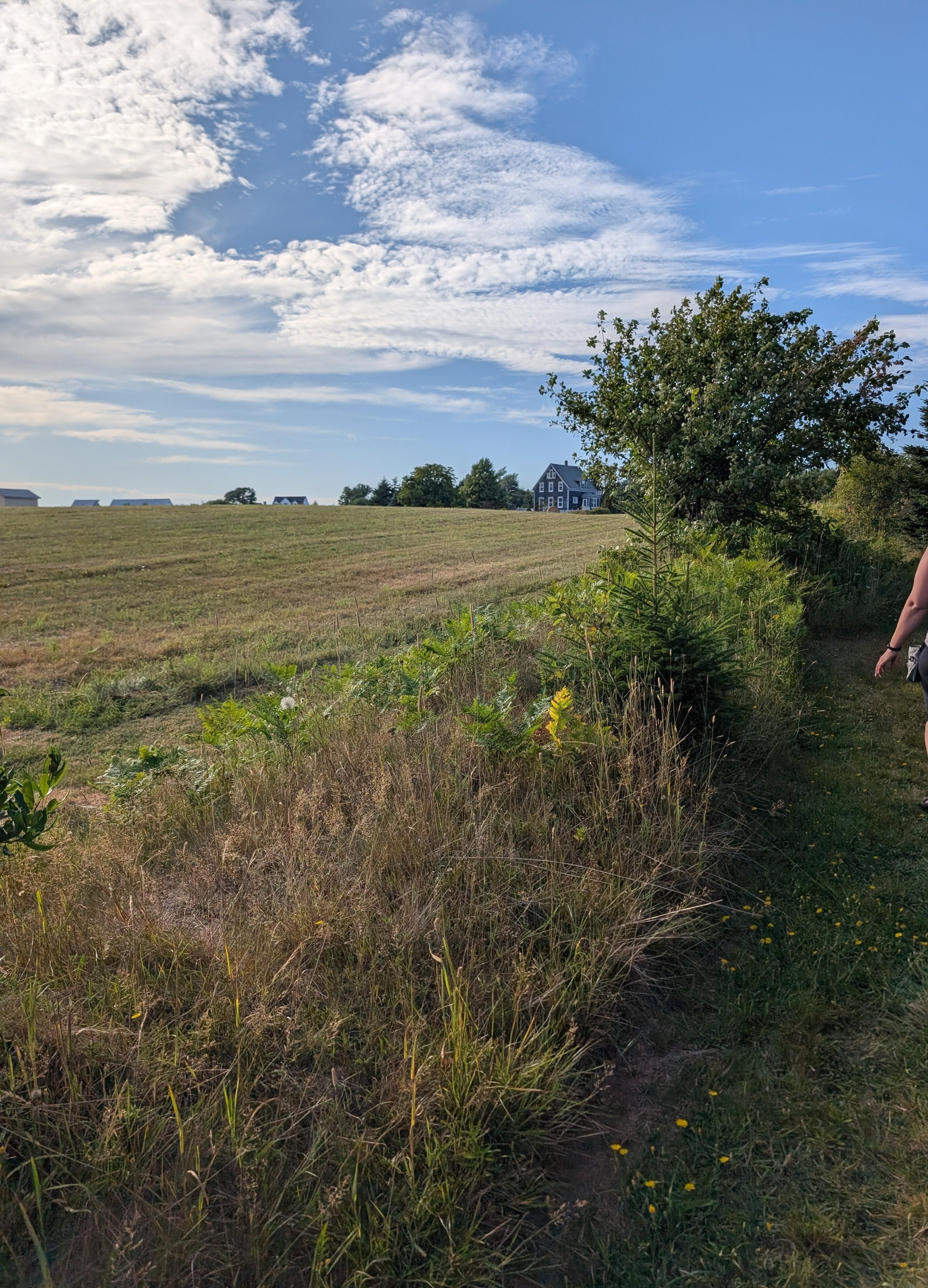 The path to the beach at the house 