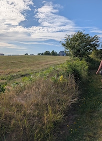 The path to the beach at the house