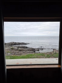 Beautiful view from living room